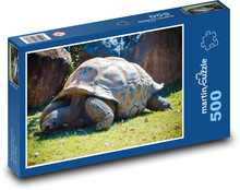 Korytnačka plaziaca sa v zoologickej záhrade Puzzle 500 dielikov - 46 x 30 cm