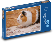 Śliczna biała i brązowa świnka morska Puzzle 500 elementów - 46x30 cm