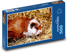 Morče schované ve slámě Puzzle 500 dílků - 46 x 30 cm