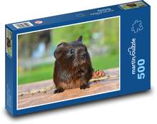 Guinea pig Puzzle of 500 pieces - 46 x 30 cm 