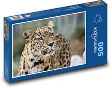 Leopard mit langem Bart Puzzle 500 Teile - 46 x 30 cm
