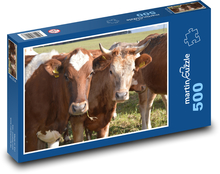 Brązowe krowy na pastwisku Puzzle 500 elementów - 46x30 cm