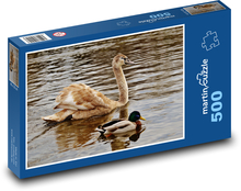 Young swan and duck Puzzle of 500 pieces - 46 x 30 cm 