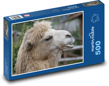 Moudrý velbloud Puzzle 500 dílků - 46 x 30 cm