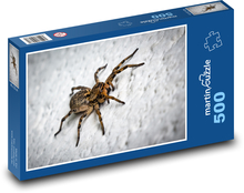 A spider climbing a wall Puzzle of 500 pieces - 46 x 30 cm 