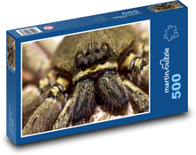 Spinne mit schwarzen Augen Puzzle 500 Teile - 46 x 30 cm