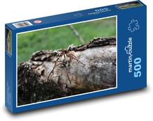 Pavúk v lese na pni Puzzle 500 dielikov - 46 x 30 cm 