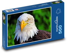 White-headed eagle Puzzle of 500 pieces - 46 x 30 cm