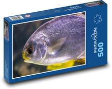 Tropická ryba pod vodou Puzzle 500 dílků - 46 x 30 cm