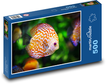 Bunte Aquarienfische - Ziel Puzzle 500 Teile - 46 x 30 cm
