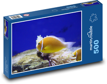 Ryby Puzzle 500 dielikov - 46 x 30 cm 