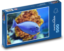 Blue tropical fish in corals Puzzle of 500 pieces - 46 x 30 cm 