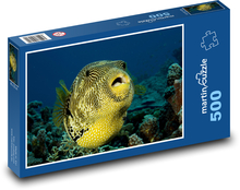 Ryby Puzzle 500 dielikov - 46 x 30 cm 