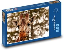 Giraffe with big eyes Puzzle of 500 pieces - 46 x 30 cm