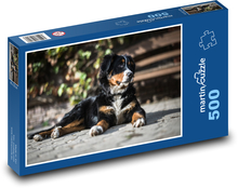Berneński pies górski, odpoczywający na zewnątrz Puzzle 500 elementów - 46x30 cm
