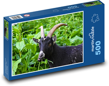 Schwarze Ziege mit großen Hörnern Puzzle 500 Teile - 46 x 30 cm