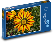 Blume - Gazania Puzzle 500 Teile - 46 x 30 cm