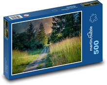 Zarastená lesná cesta Puzzle 500 dielikov - 46 x 30 cm 