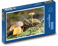 Příroda - houby Puzzle 500 dílků - 46 x 30 cm