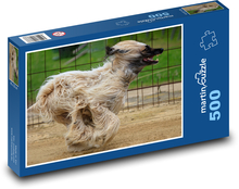 Preteky chrtov Puzzle 500 dielikov - 46 x 30 cm 