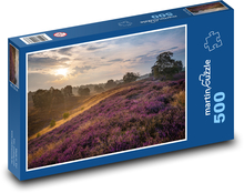 Purple field of flowers Puzzle of 500 pieces - 46 x 30 cm 