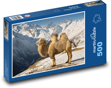 Velbloud v horách Puzzle 500 - 46x30 cm