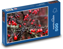 Rzutki, jesień Puzzle 500 elementów - 46x30 cm