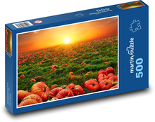 tekvicové polia Puzzle 500 dielikov - 46 x 30 cm 