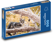 Kočka na stromě Puzzle 500 dílků - 46 x 30 cm