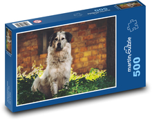 Pies Puzzle 500 elementów - 46x30 cm