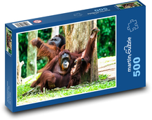 Orang-Utan Puzzle 500 Teile - 46 x 30 cm