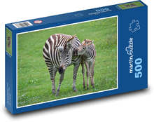 Zebra, mládě Puzzle 500 dílků - 46 x 30 cm