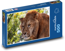 Lev Puzzle 500 dílků - 46 x 30 cm