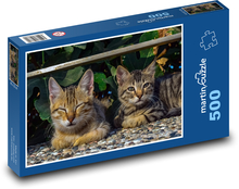 Koty Puzzle 500 elementów - 46x30 cm
