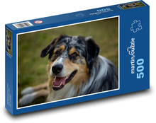 Pes - Austrálsky Ovčiak Puzzle 500 dielikov - 46 x 30 cm 