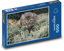Kot domowy Puzzle 500 elementów - 46x30 cm