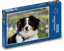 Australischer Schäferhund Puzzle 500 Teile - 46 x 30 cm
