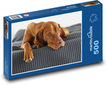 Hungarian Shorthaired Pointer Puzzle of 500 pieces - 46 x 30 cm 