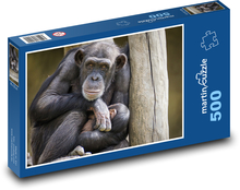Chimpanzee, monkey Puzzle of 500 pieces - 46 x 30 cm 