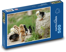Kurča, kuriatka Puzzle 500 dielikov - 46 x 30 cm