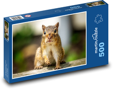 Wiewiórka drzewna Puzzle 500 elementów - 46x30 cm