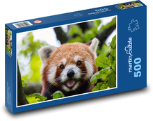 Medvídek - Panda červená Puzzle 500 dílků - 46 x 30 cm