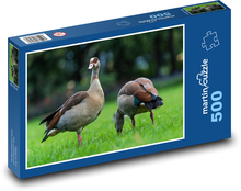 Kaczki na trawie Puzzle 500 elementów - 46x30 cm