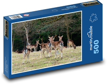 Tiere - Europäisches Damwild Puzzle 500 Teile - 46 x 30 cm