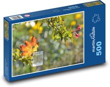 Podzim - sklenka, list Puzzle 500 dílků - 46 x 30 cm