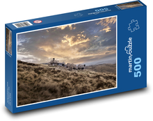 Schaf - Weide, Wiese Puzzle 500 Teile - 46 x 30 cm