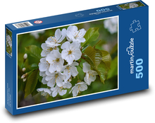 Flower - spring, nature Puzzle of 500 pieces - 46 x 30 cm 