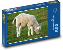 Grazing lamb Puzzle of 500 pieces - 46 x 30 cm