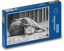Nosorożec w zoo Puzzle 500 elementów - 46x30 cm