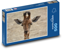 Giraffe - Hals, Säugetier Puzzle 500 Teile - 46 x 30 cm